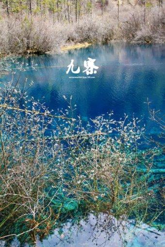 从苦口良药到甜蜜滋补 中医药膏方的神奇转变